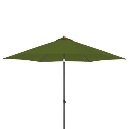 13148 myzone push up zelena