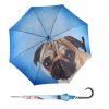 3752 3 modern art lazy dog