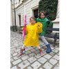 4517 2 plastenka