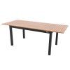 7667 expert wood antracit