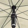 8915 47 nassau cervena
