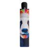 9886 2 modern art magic mighty panda